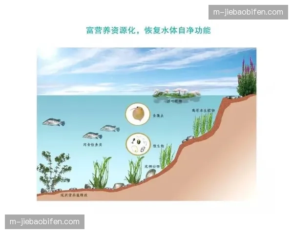 生态系统构建加速 形成良性循环机制
